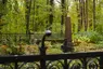 Familienfriedhof Stumm
