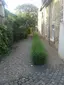 Jüdischer Friedhof