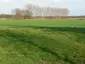 Burg Wahrenholz