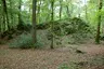 Burg Berge
