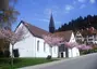 St. Bernhard St. Bernhard