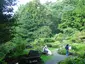 Sendai Wild Plants Garden