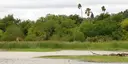 World Birding Center - Estero Llano Grande State Park