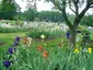 Presby Memorial Iris Gardens Presby Memorial Iris Gardens