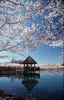 Meadowlark Botanical Gardens