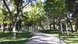 Parque San Antonio Abad