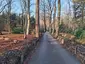 Lichtbos Eindhoven Lichtbos Eindhoven