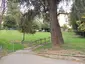 Giardino pubblico della Funicolare Giardino pubblico della Funicolare