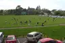 Sunnynook Park