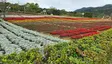 Beitou 22nd Park (under construction)