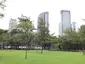 Ayala Triangle Gardens Ayala Triangle Gardens