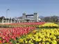 Gunma Flower Park