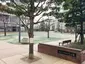 プラタナス公園