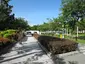 Tin Pak Road Park