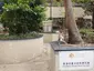 Old Main Street Rest Garden
