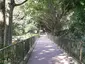 Bowen Road Park