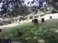 Jüdischer Friedhof