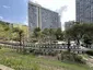 Hang Hong Street Garden
