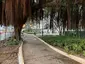 Yan Fung Street Rest Garden
