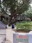 Yau Tong Centre Rest Garden