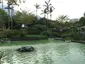 Yeung Siu Hang Garden Yeung Siu Hang Garden