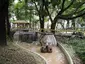 Parque Halfeld Parque Halfeld