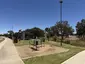 Lineal Park Lineal Park