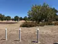 Ray Beddoe Park Ray Beddoe Park
