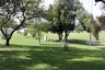 Bruce Lee Reserve