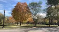 Grey Park