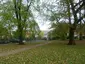Haling Grove