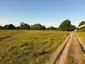 Stourbridge Common