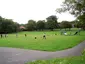 Rotary Field