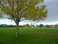Milne Park Milne Park