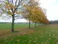 Purley Way Playing Fields