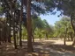 Atatürk Forest Atatürk Forest