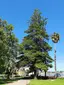 Jardim Municipal de Paço de Arcos