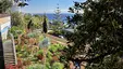 Jardim Panorâmico