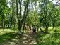 Parcul Conaculul familiei Șalari Parcul Conaculul familiei Șalari