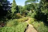 Botanischer Garten