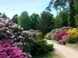 Rhododendronpark Rhododendronpark