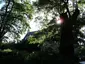 Van Dalepark