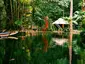 Bosque Rodrigues Alves
