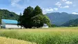 トミオカホワイト美術館