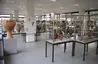 Antikensammlung der Universität Heidelberg