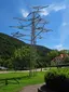 Skulpturenpark Heidelberg Skulpturenpark Heidelberg