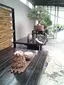 Crespi Bonsai Museum Crespi Bonsai Museum