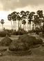 Kadurugoda Viharaya Archaeological Site - Kantharodai