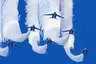 Blue Impulse Blue Impulse