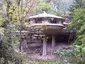 The Mushroom House